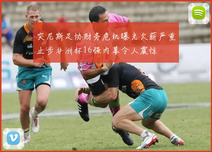 突尼斯足协财务危机曝光欠薪严重止步非洲杯16强内幕令人震惊
