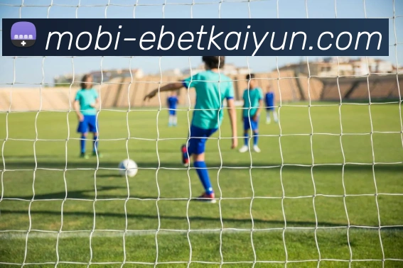 易倍体育平台生态图